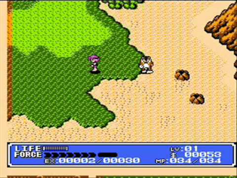 Crystalis-snk-nes-gameplay-screenshot-2 Crystalis-snk-nes-gameplay-screenshot