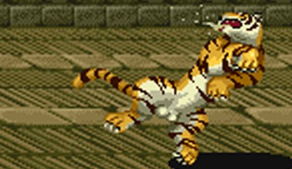 Knights of the Round tiger balls