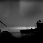Limbo screenshot spiders