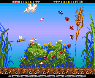 Apidya - Amiga Apidya - Amiga