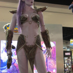 Elf Cosplay 16